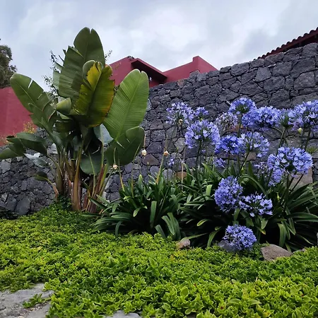 La Acequia Del Gamonal Santa Brigida (Gran Canaria)